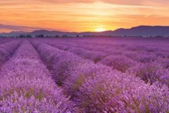 online marketplace France