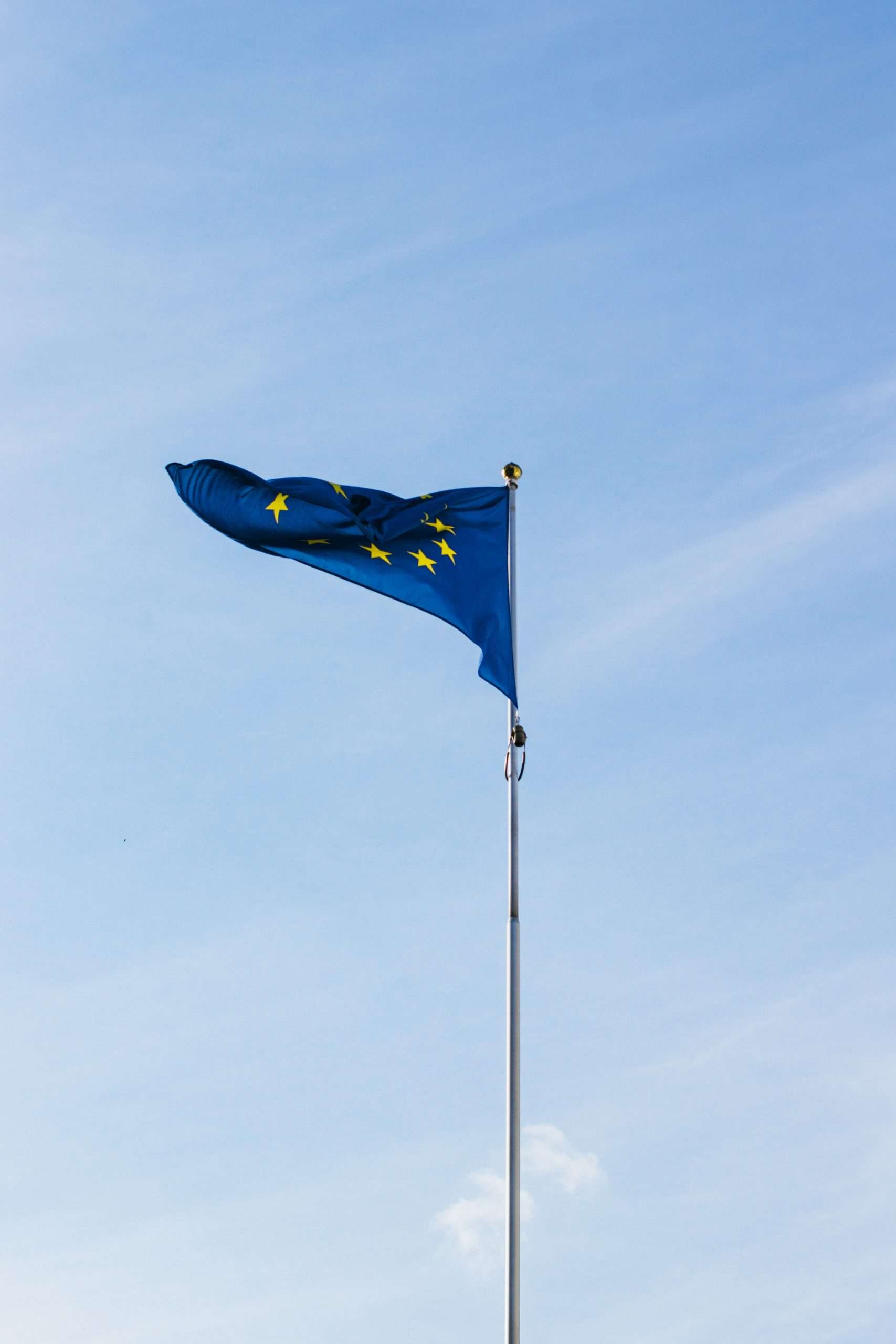 The EU flag